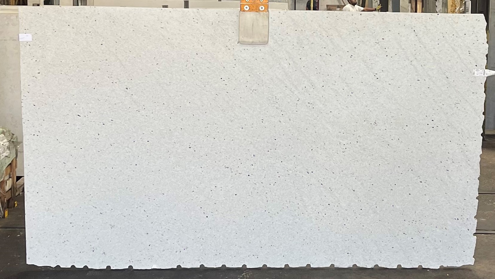 Extreme White Pitaya Earth Stone Slabs