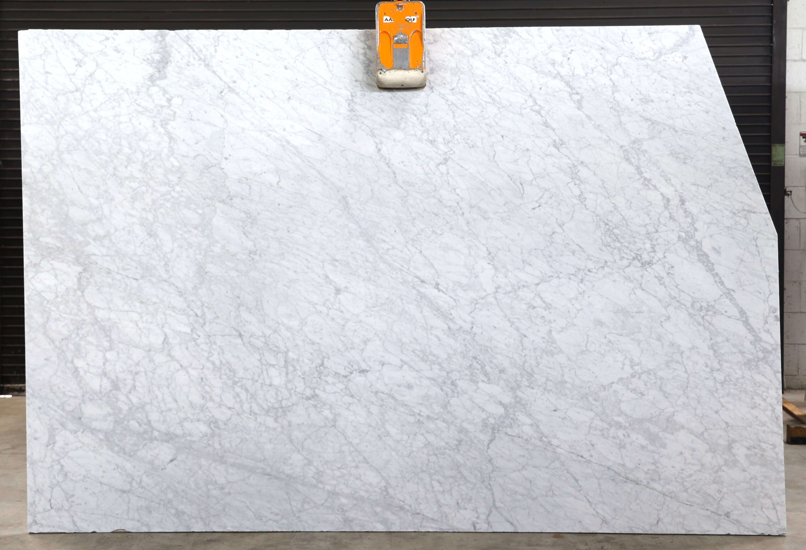 White Carrara (Polish and Honed) Honed Side