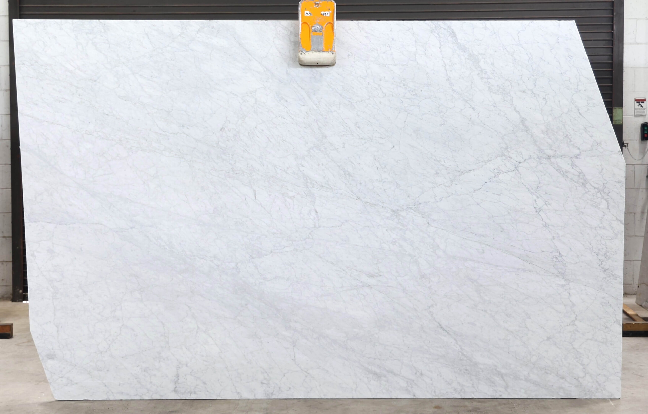 White Carrara (Polish and Honed) Honed Side